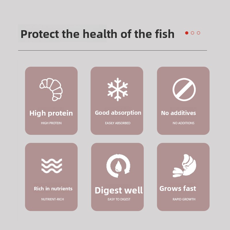 PENISON Powder Baby Fish Food, - Whey Protein Isolate review and price